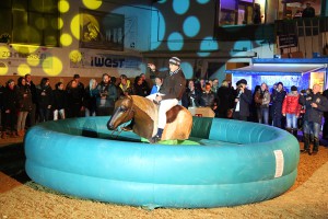 bullriding-2