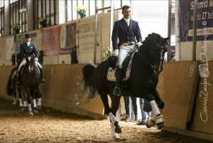 gpdressage